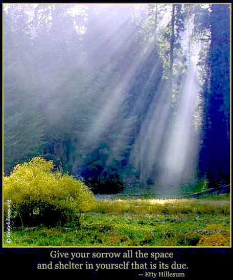 Quotes About Appreciating Nature Quotesgram Quotes About Appreciating Nature Quotesgram