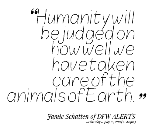 Animal Research Quotes QuotesGram