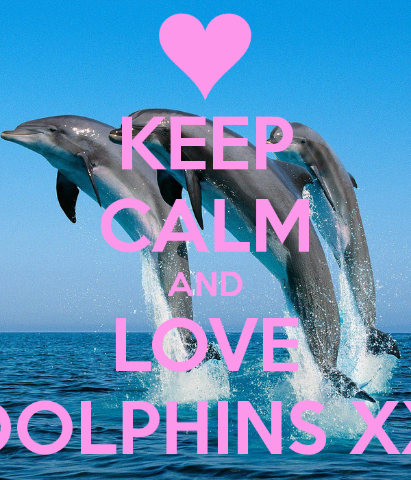 Дельфин любовь ремикс. Дельфин любовь. Dolphin надпись. Plastic Love Дельфин. Любовь Дельфин лед 3.