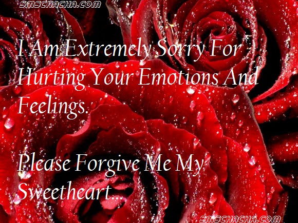 Sorry Husband Quotes Quotesgram Sorry Husband Quotes Quotesgram
