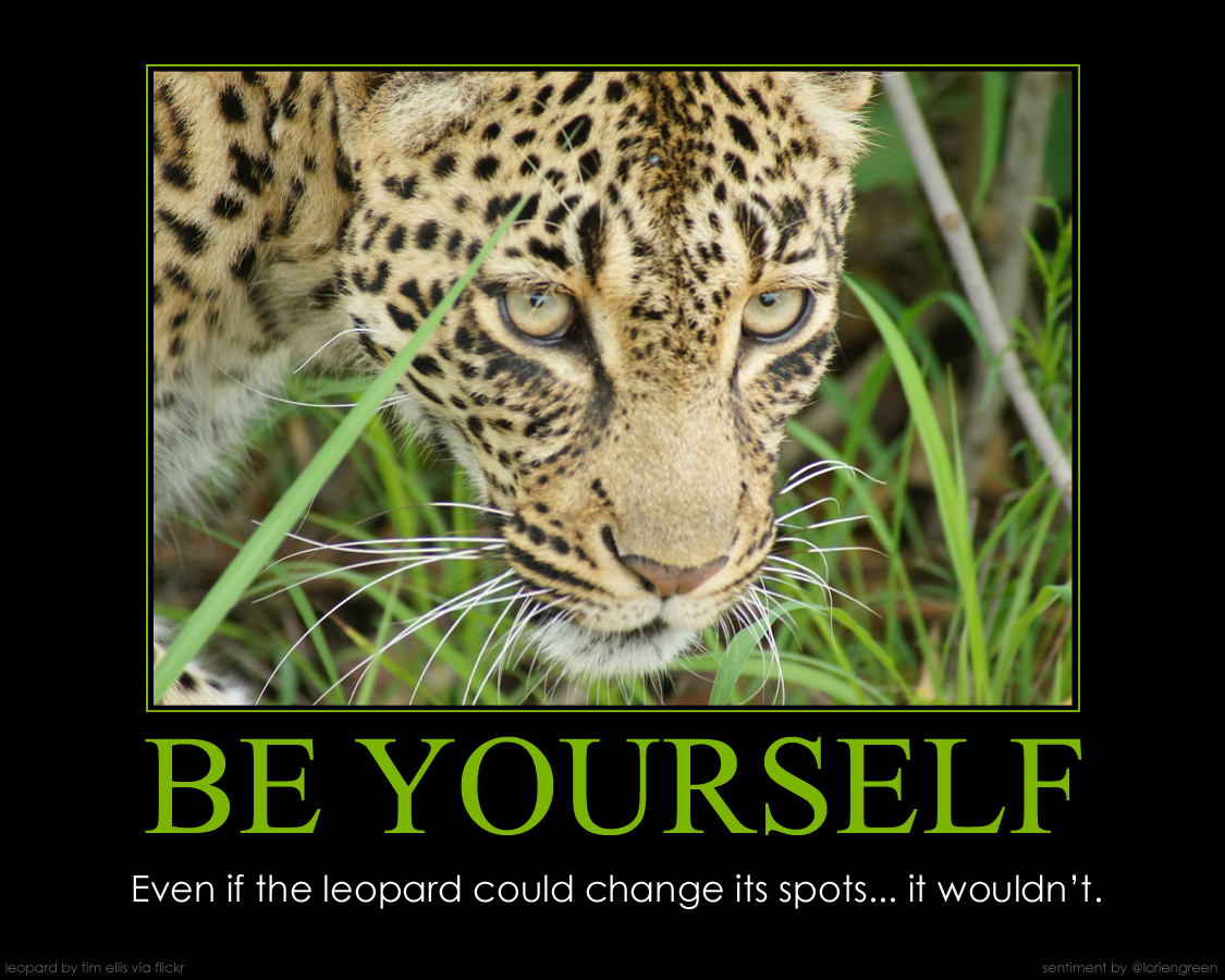 Funny Leopard Quotes. Quotesgram
