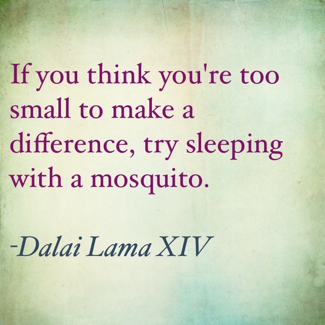Mosquito Dalai Lama Quotes. QuotesGram