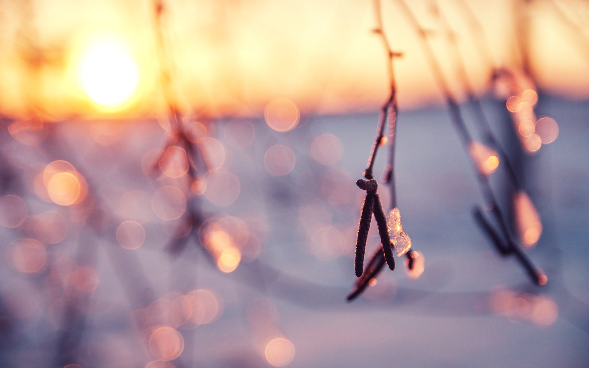 Winter Sunshine Quotes