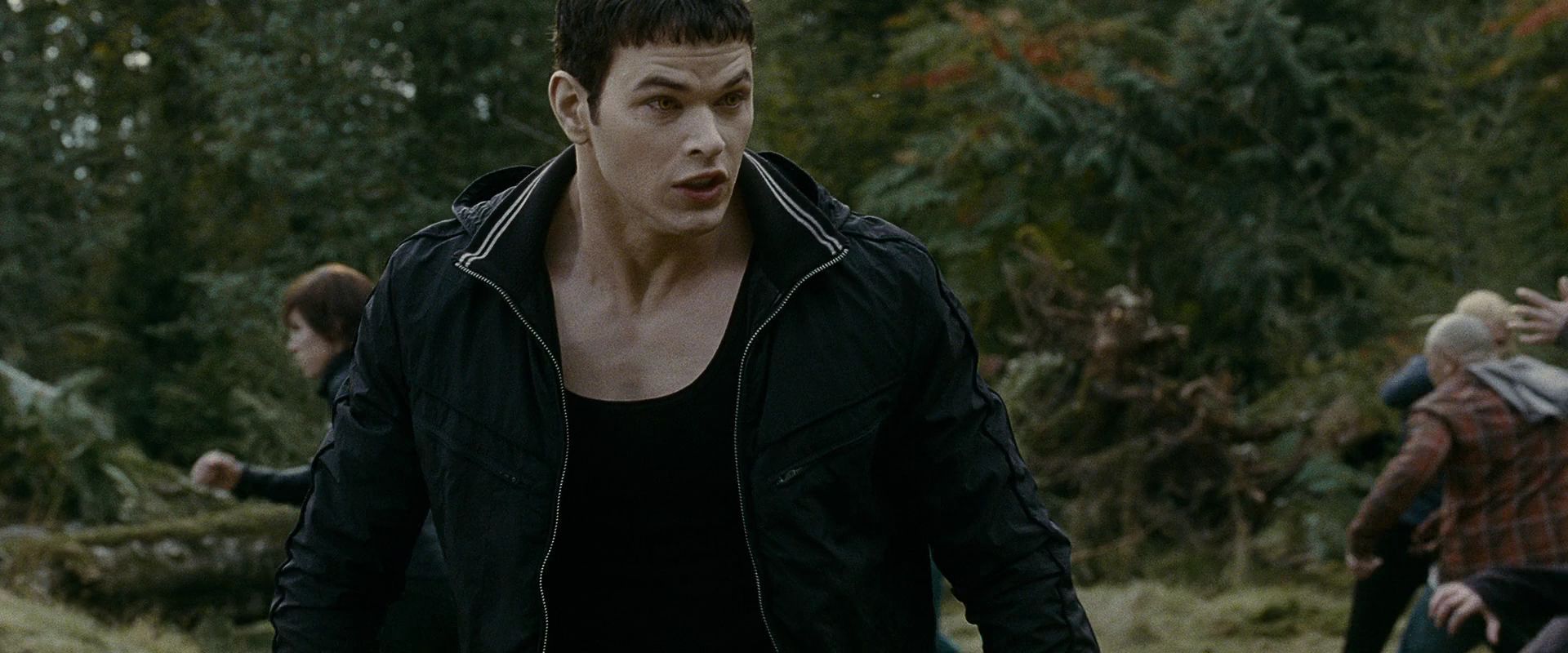 Emmett Cullen Quotes Quotesgram