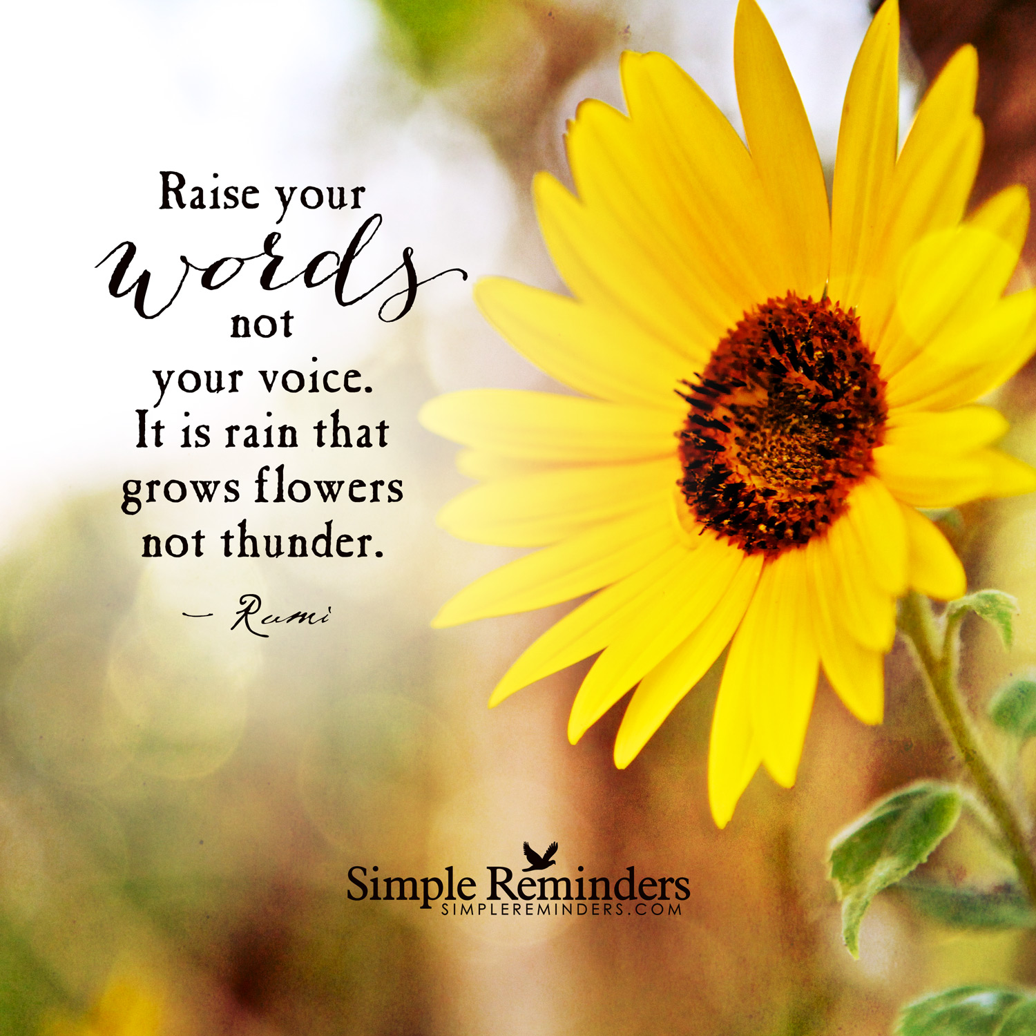 Sunflower Spring Quotes Sunflower Spring Quotes