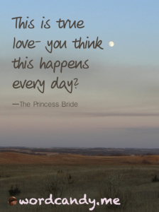 Princess Bride True Love Quote Romantic Princess Bride Quotes. Quotesgram Princess Bride True Love Quote Romantic Princess Bride Quotes. Quotesgram