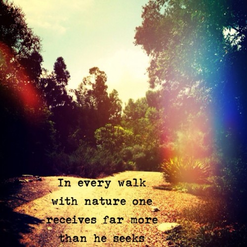 Hiking With Friends Quotes. QuotesGram