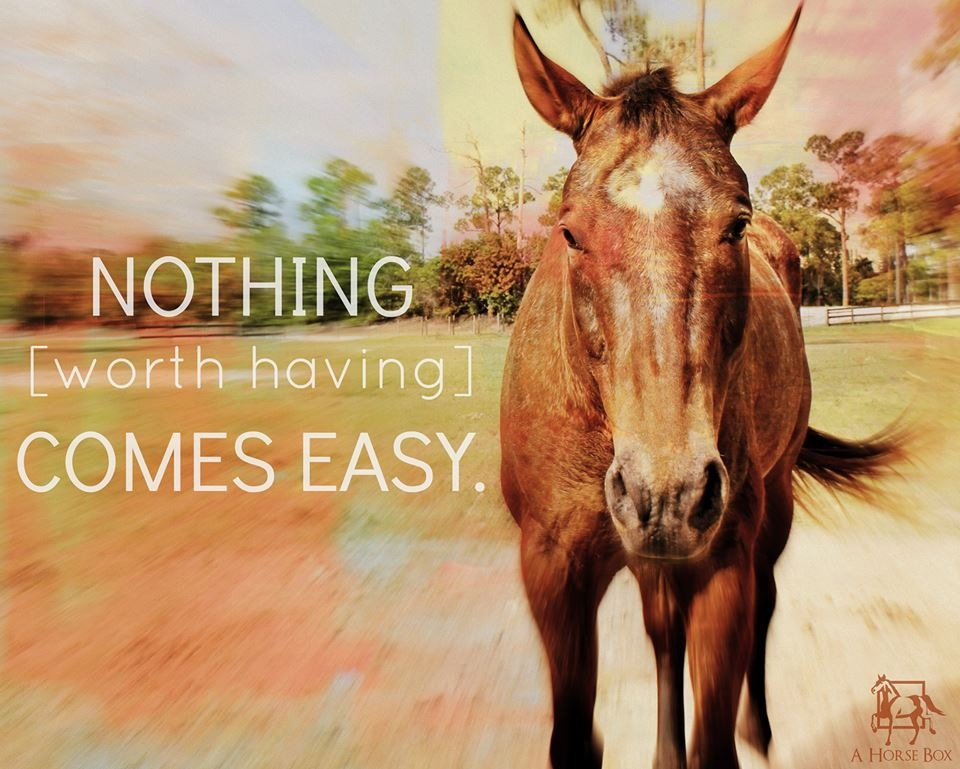 Simple Horse Quotes. QuotesGram