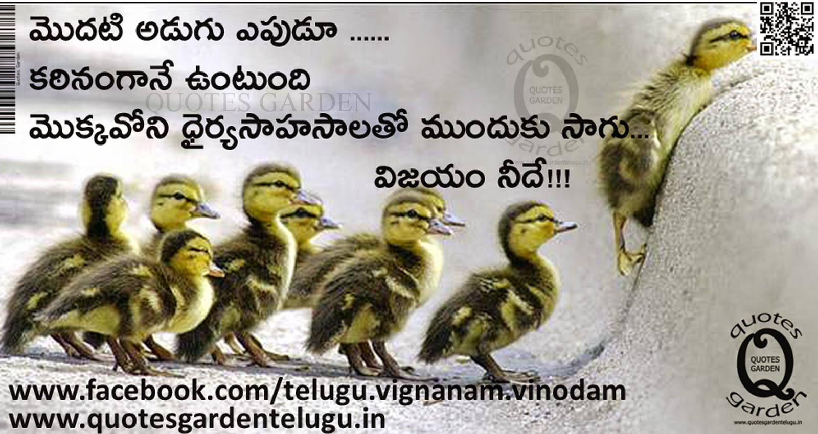Telugu Quotes On Life QuotesGram