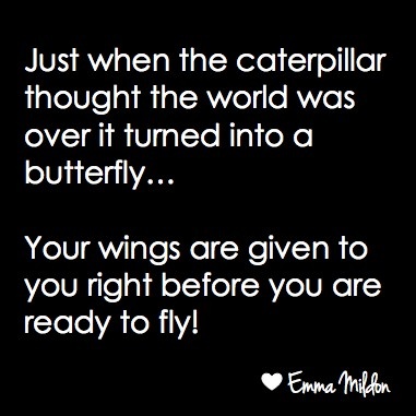 Spread My Wings And Soar Quotes. QuotesGram