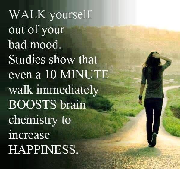Walking Exercise Quotes. QuotesGram
