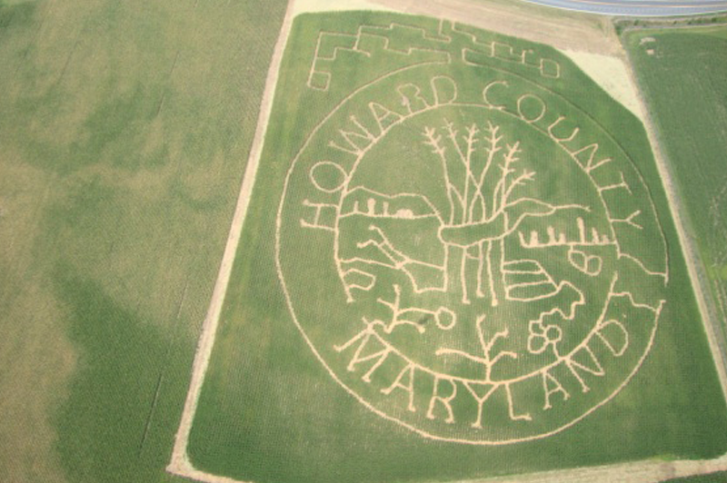 Corn Maze Quotes. QuotesGram