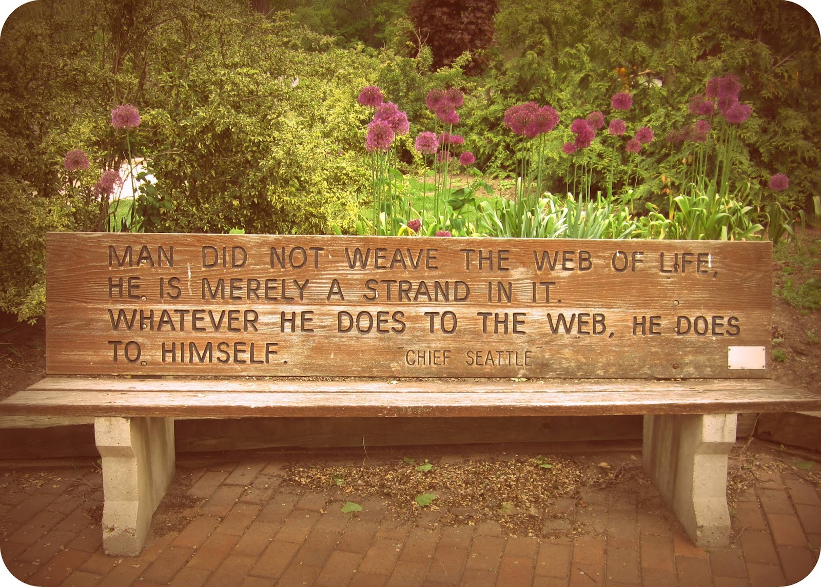 Park Bench Quotes QuotesGram Park Bench Quotes QuotesGram