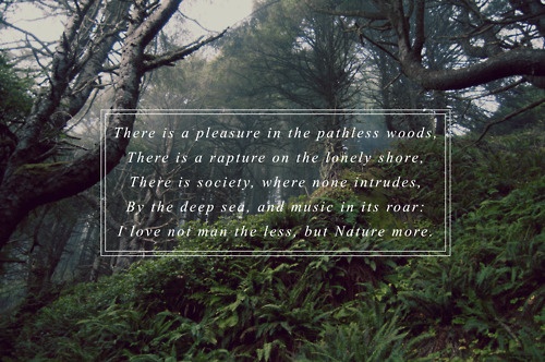 Into The Wild Lord Byron Quotes. QuotesGram