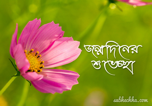 Bengali Janmodin Quotes Quotesgram
