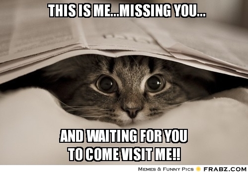 60 Cutest I Miss You Memes Of All Time Funny Quotes Funny Me I