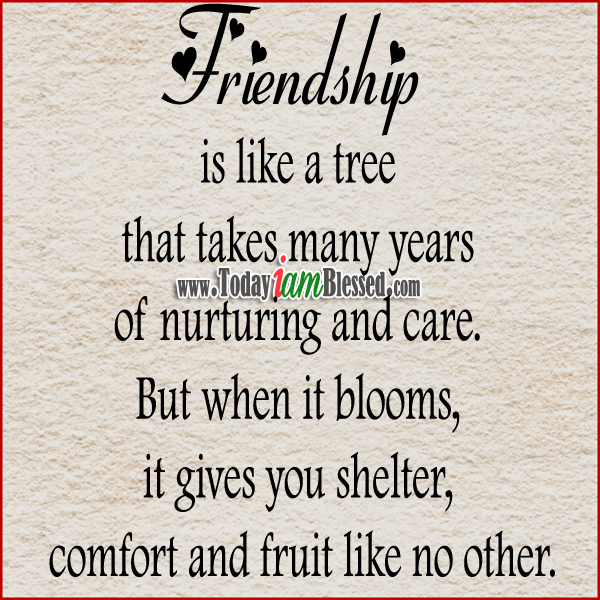 Friendship Quotes About Trees. QuotesGram