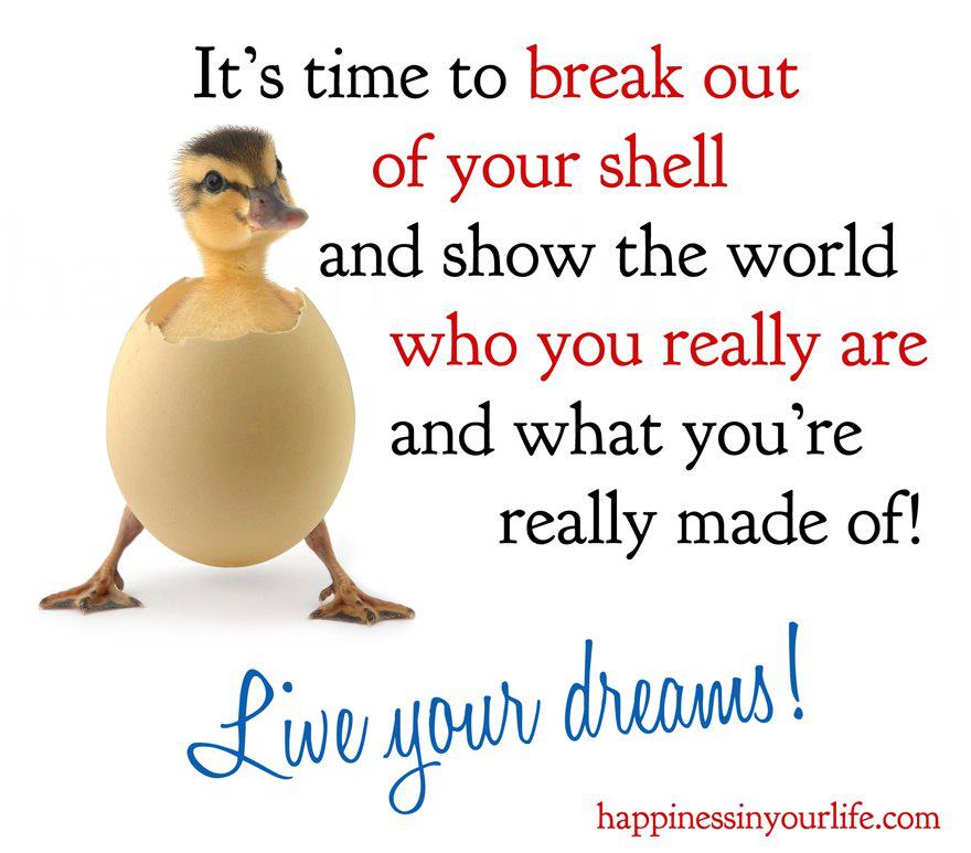 Quotes About Living Your Dreams Quotesgram