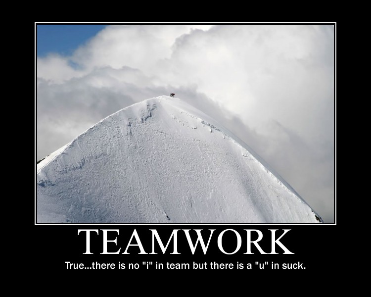 Funny Teamwork Quotes. QuotesGram