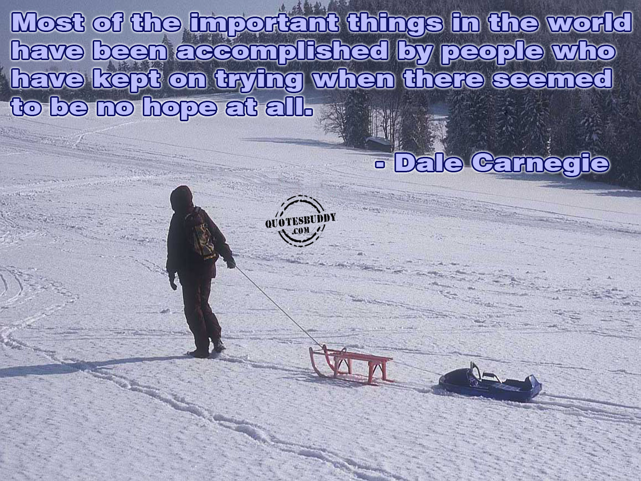 Funny Achievement Quotes. QuotesGram Funny Achievement Quotes. QuotesGram