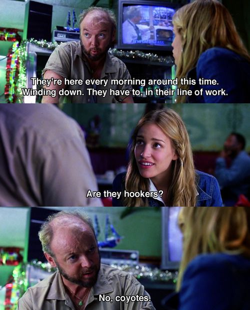 Coyote Ugly Movie Quotes QuotesGram