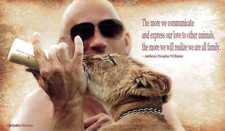 Best Vin Diesel Quotes About Family. QuotesGram