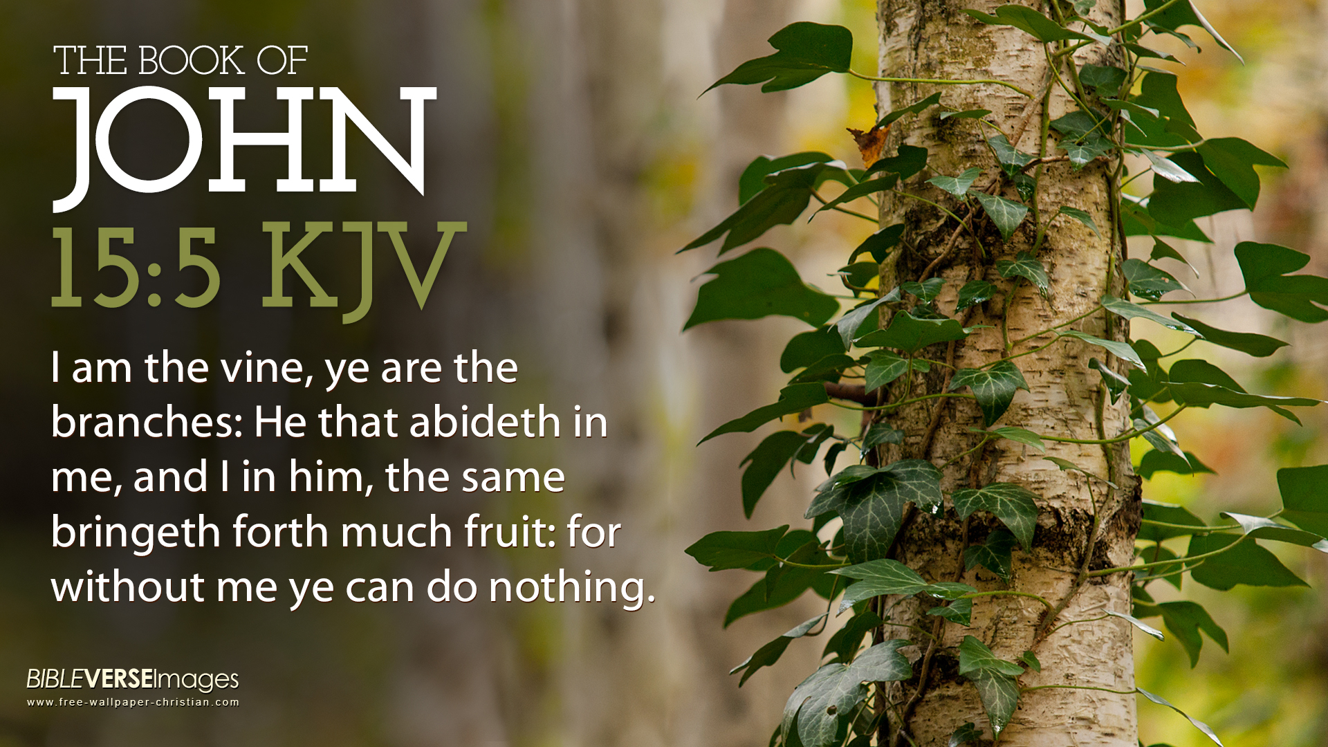 Kjv Inspirational Bible Quotes QuotesGram