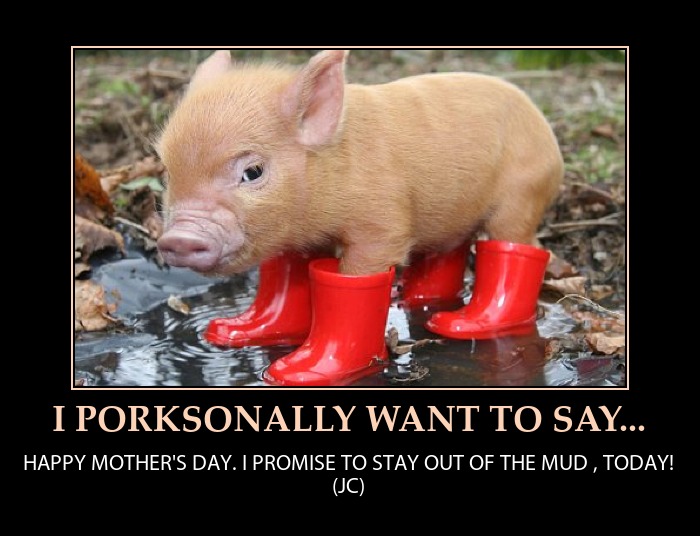 The Pig Animal Quotes. QuotesGram