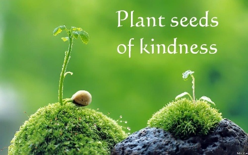 Garden Of Quotes About Kindness. QuotesGram Garden Of Quotes About Kindness. QuotesGram