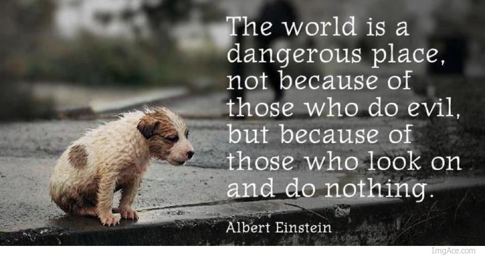 Albert Einstein Quotes Evil. QuotesGram