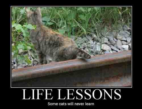 Humorous Quotes About Life Lessons. QuotesGram