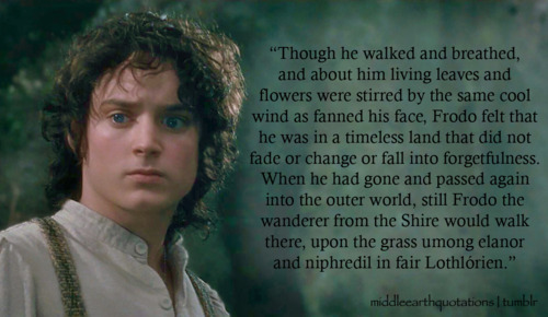 Famous Quotes Frodo. QuotesGram