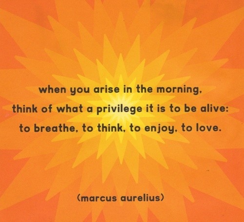 Marcus Aurelius quote about accepting love