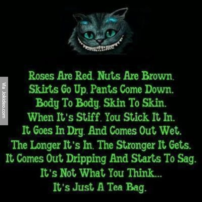 Roses are red dirty quotes quotesgram