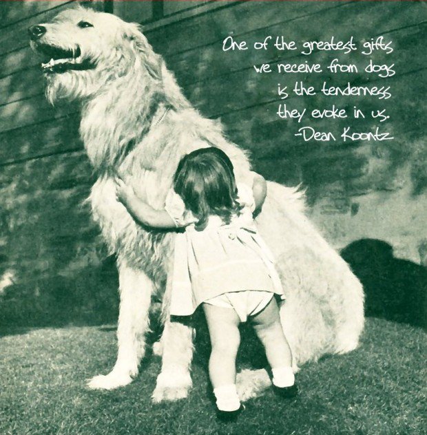 Baby And Dog Quotes. QuotesGram