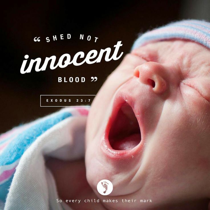 Bible Quotes From Pro Life
