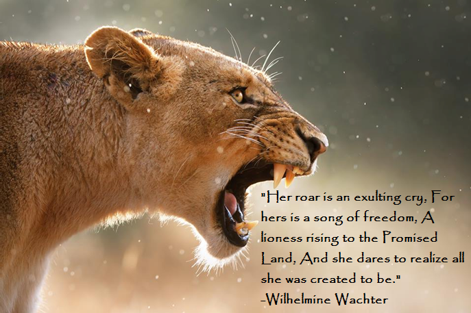 Lion And Lioness Quotes. QuotesGram