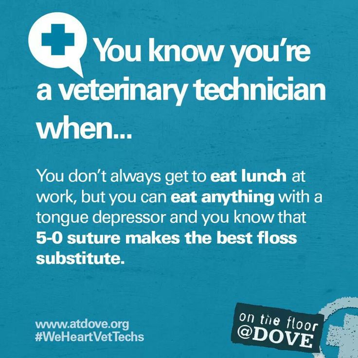 Quotes About Veterinary Technicians QuotesGram