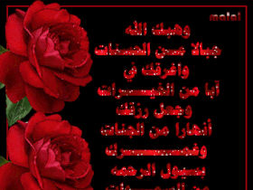 Good Morning Quotes In Arabic. QuotesGram