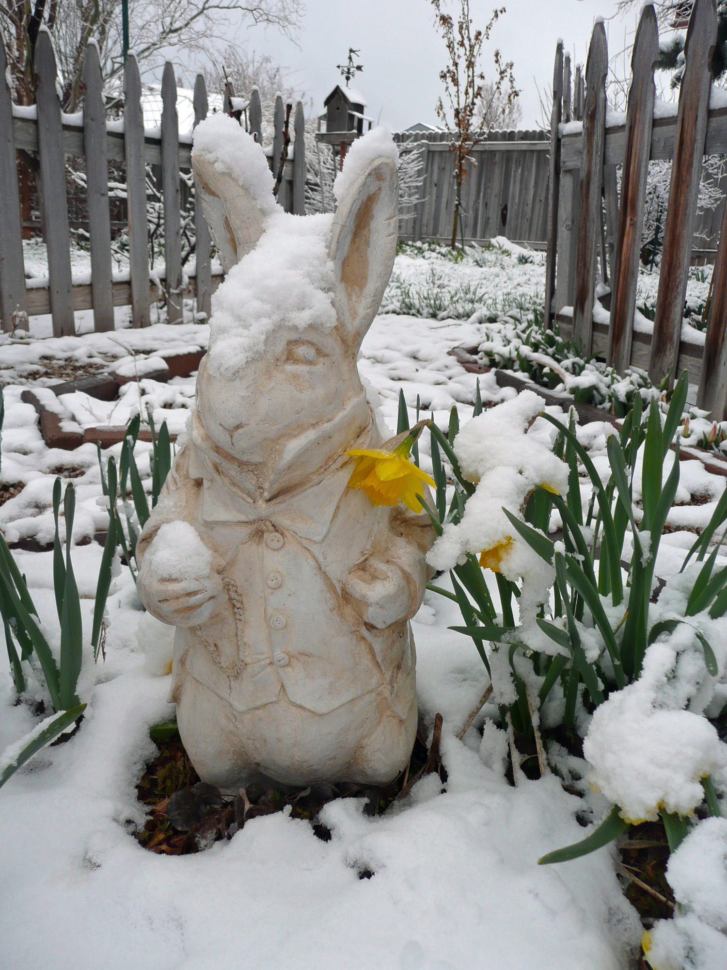 Snowy Spring Day Quotes. QuotesGram