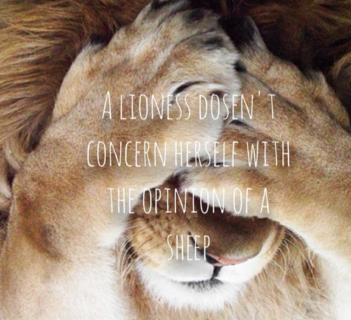 Lioness Courage Quotes. QuotesGram