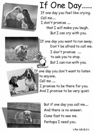 Meaningful Sweet Best Friend Quotes Cute Best Friend Quotes For Sweet 16. Quotesgram