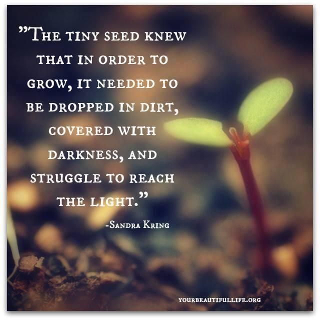 Motivational Quotes On Growth. QuotesGram