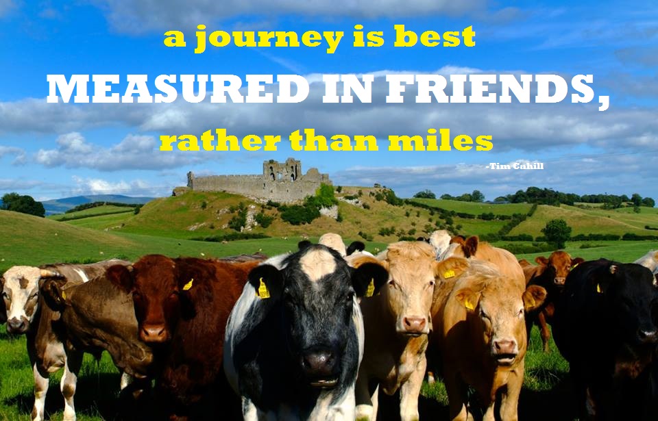 journey-with-friends-quotes-quotesgram
