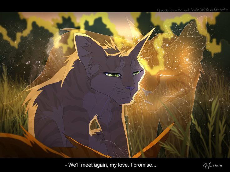 Warrior Cats Yellowfang Quotes Quotesgram Warrior Cats Yellowfang Quotes Quotesgram