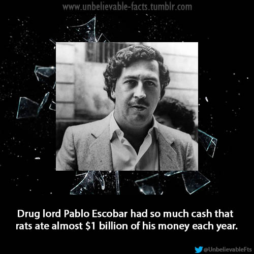 Pablo Escobar Famous Quotes. QuotesGram