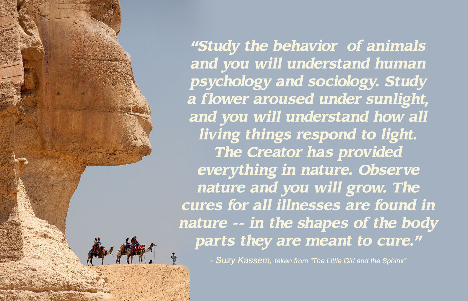 Природа сфинкс и тем. Facts about Egypt. Сфинкс смотрит на солнце. Egypt poem for children. History Egypt poems.