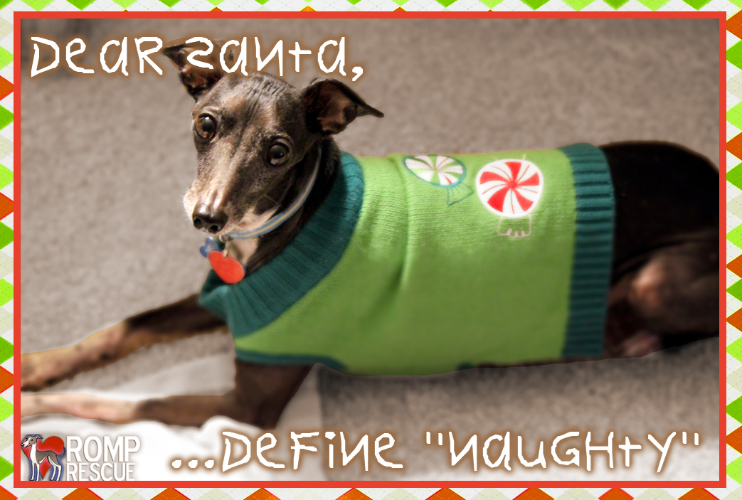 Holiday Dog Quotes. QuotesGram