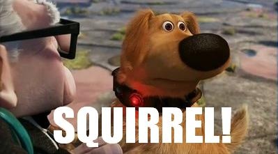 Squirrel Up Movie Quotes