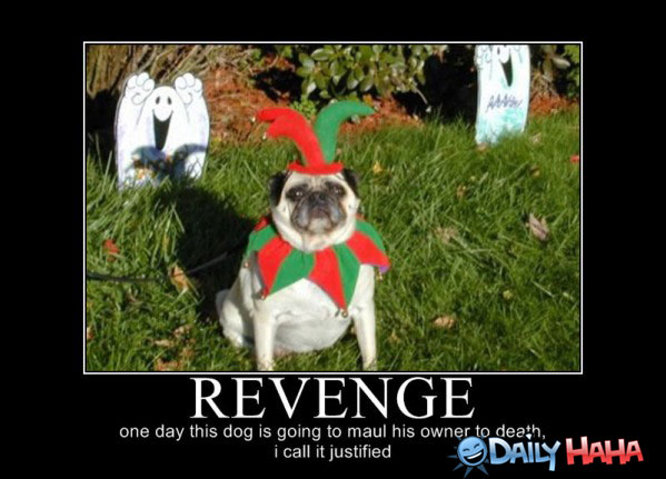 Funny Revenge Quotes. QuotesGram